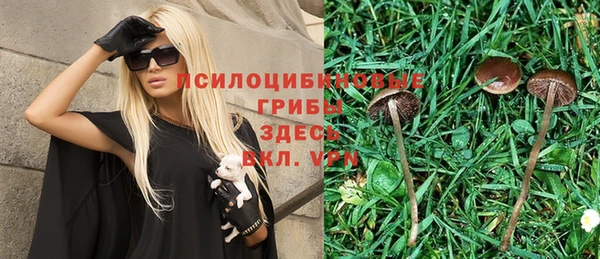 таблы Алексин