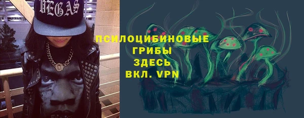 ешки Грязовец