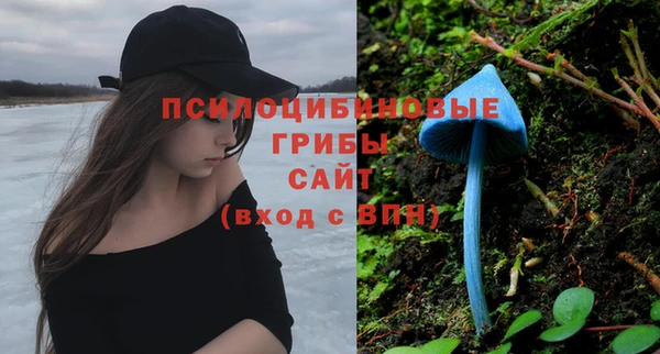 мдпв Алзамай