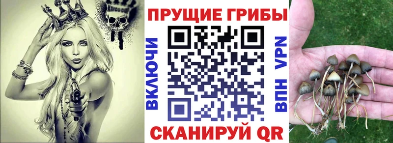 Псилоцибиновые грибы MAGIC MUSHROOMS  Лермонтов 
